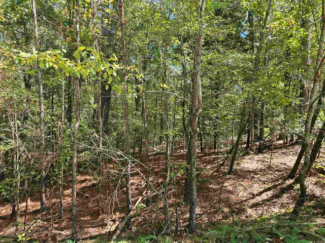 a view of a lake with a lake