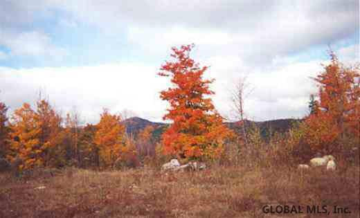 Ledge Hill Road New Russia, NY 12964 - Photo 1 of 1 Photo 1