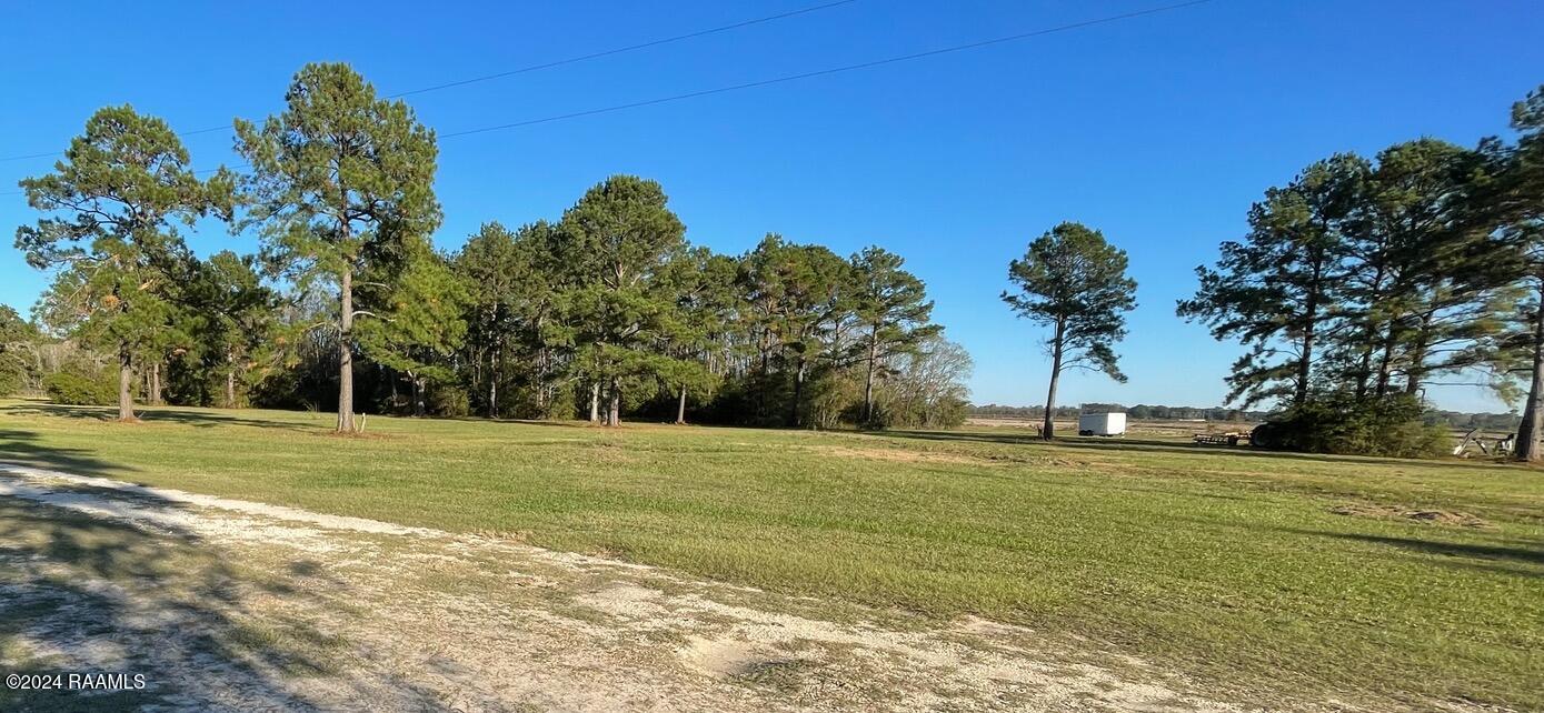 0 Garcille Road Oberlin, LA 70655 - Photo 3 of 4 IMG_2840