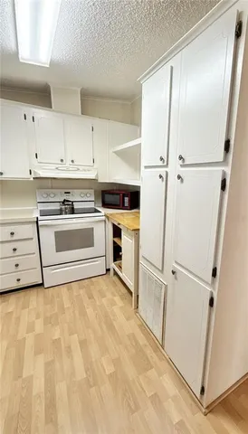 a kitchen with a stove a sink and a refrigerator