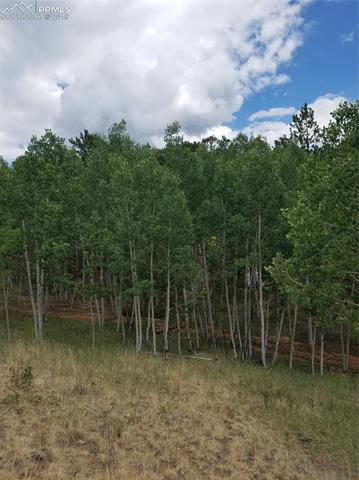 826 Princess Road Cripple Creek, CO 80813 - Photo 11 of 33 Gallery Image 11