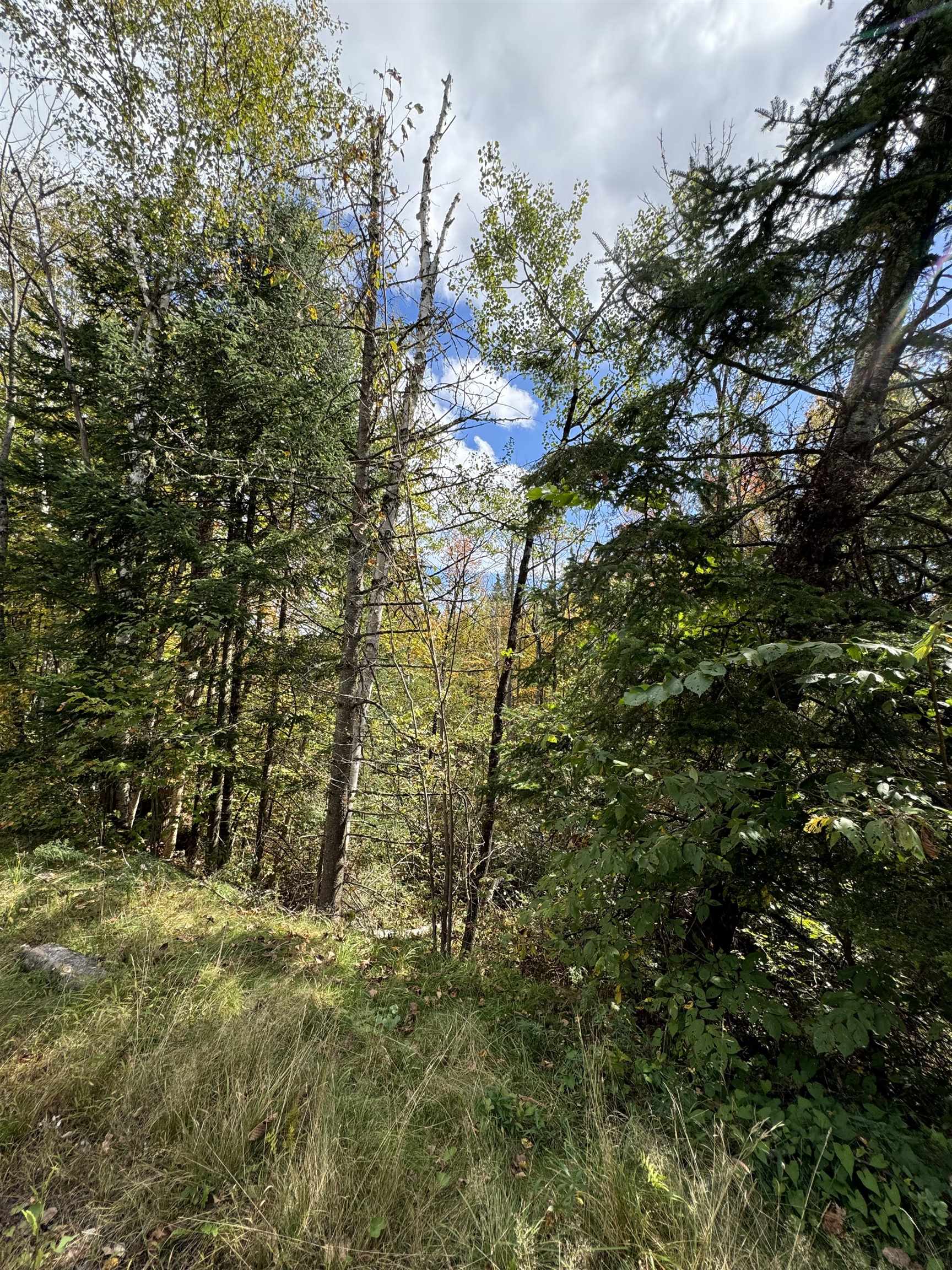 0 Dalton Road Dalton, NH 03598 - Photo 11 of 14