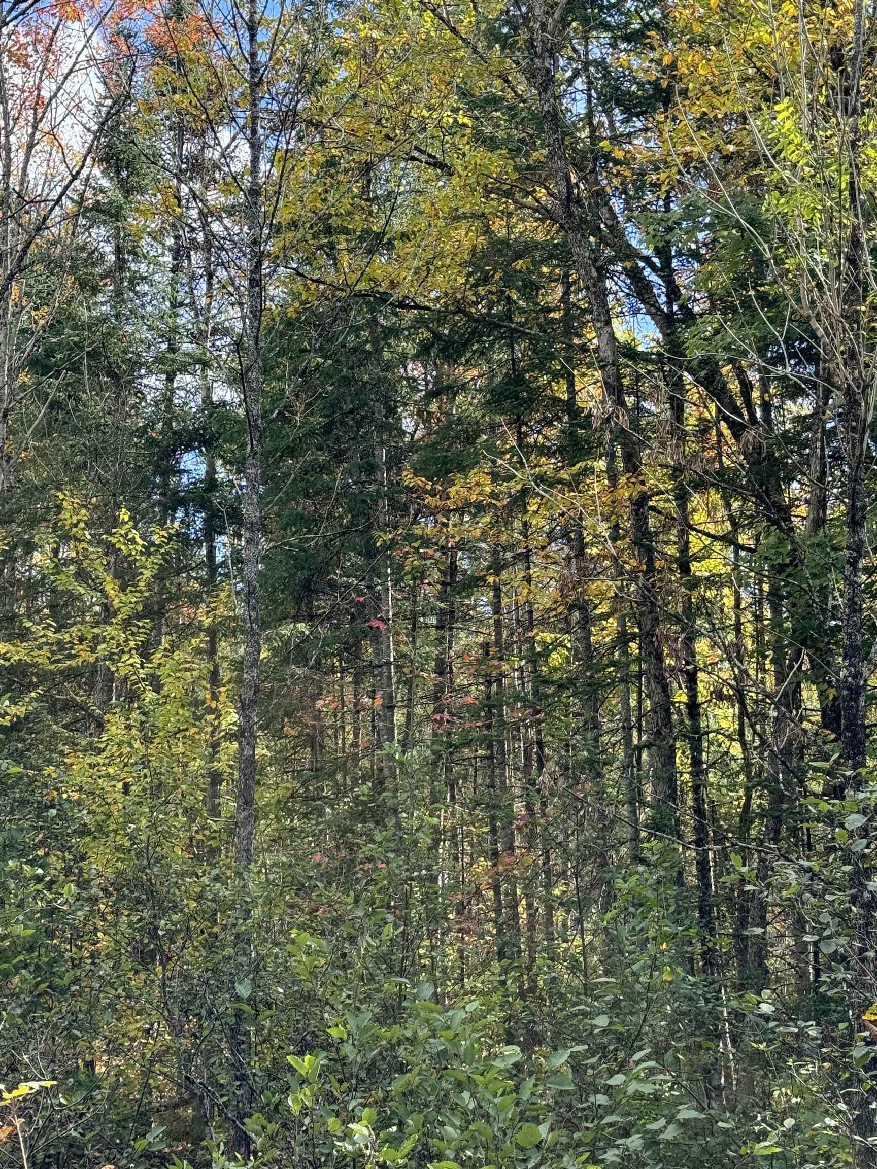 0 Dalton Road Dalton, NH 03598 - Photo 6 of 14