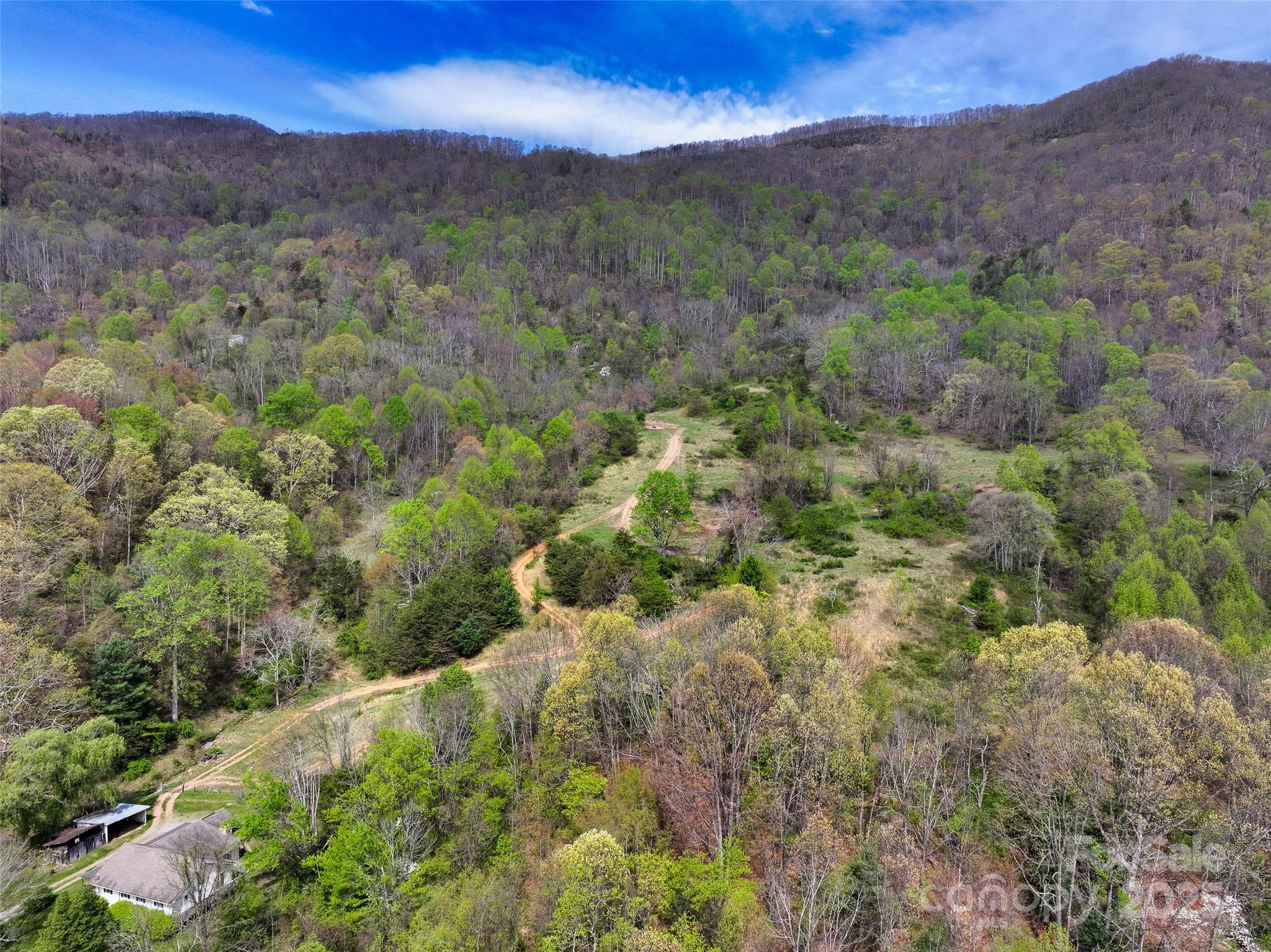 1567 Newfound Road Canton, NC 28716 - Photo 12 of 46