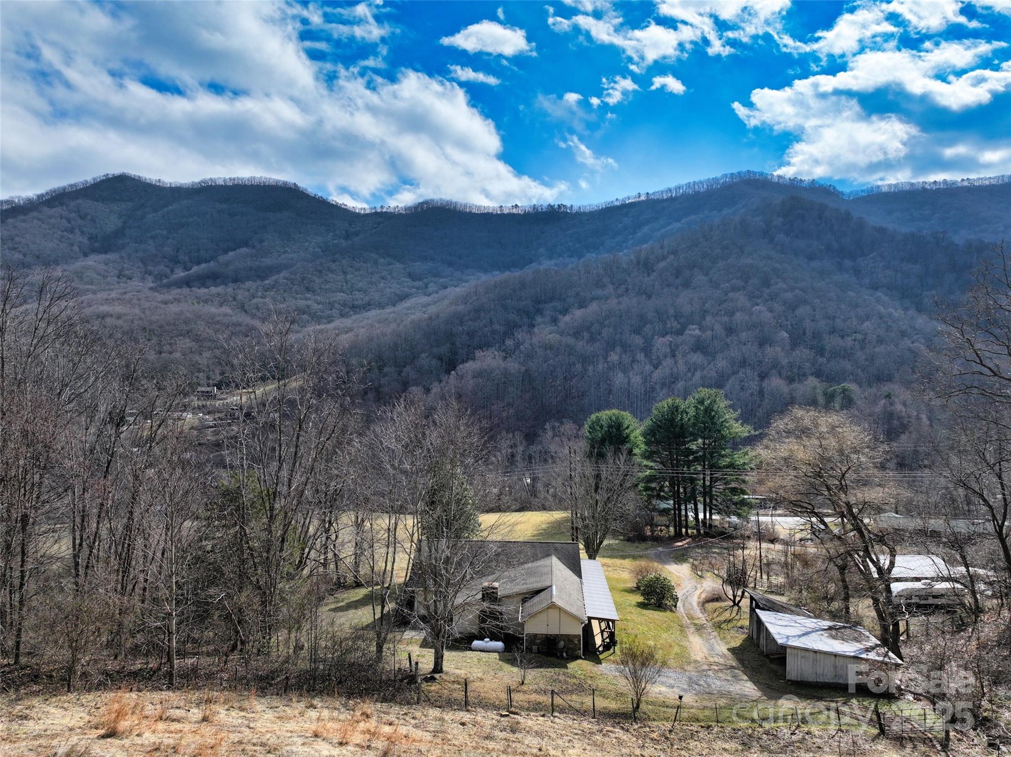 1567 Newfound Road Canton, NC 28716 - Photo 3 of 46