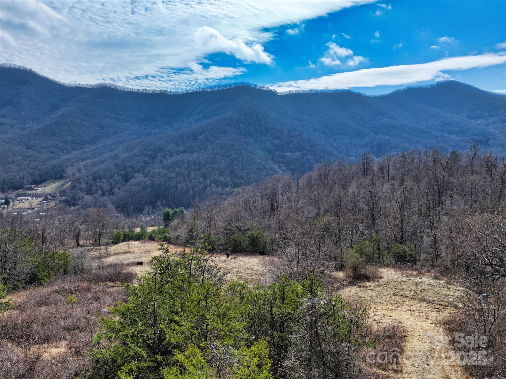 1567 Newfound Road Canton, NC 28716 - Photo 38 of 46