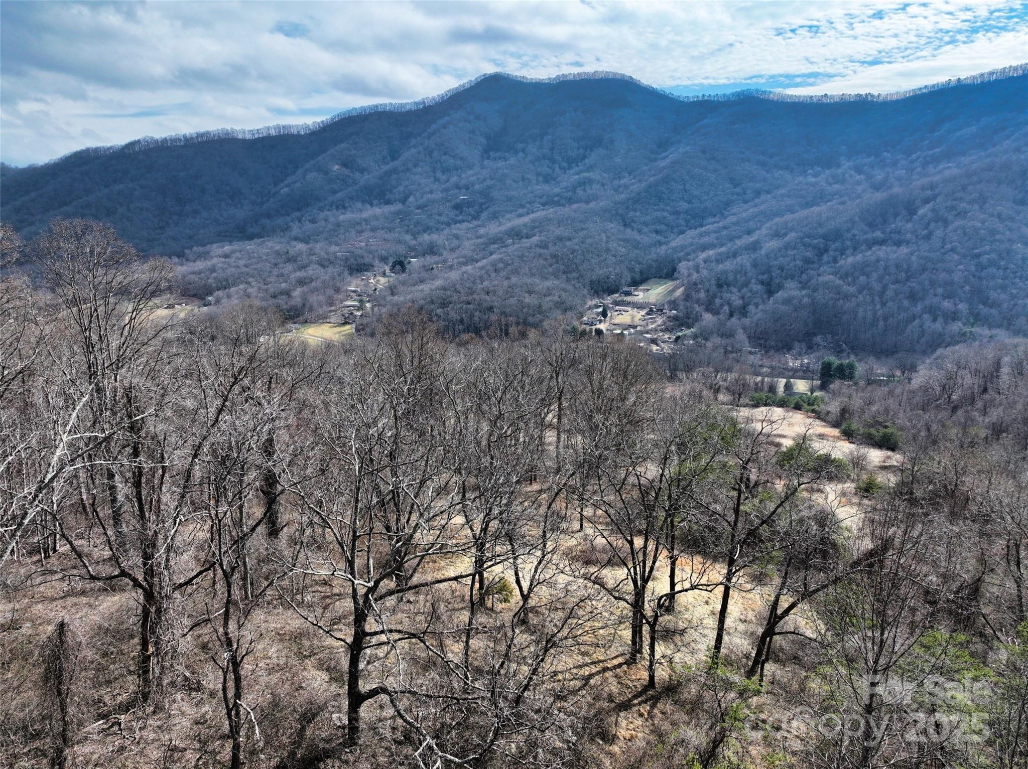 1567 Newfound Road Canton, NC 28716 - Photo 40 of 46