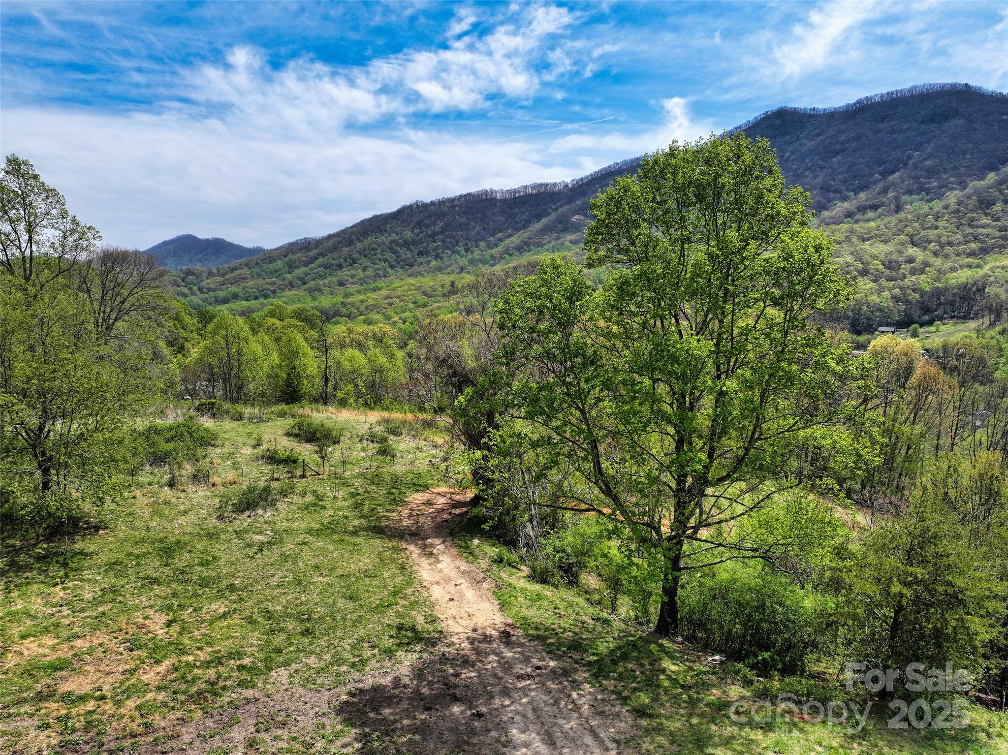 1567 Newfound Road Canton, NC 28716 - Photo 42 of 46