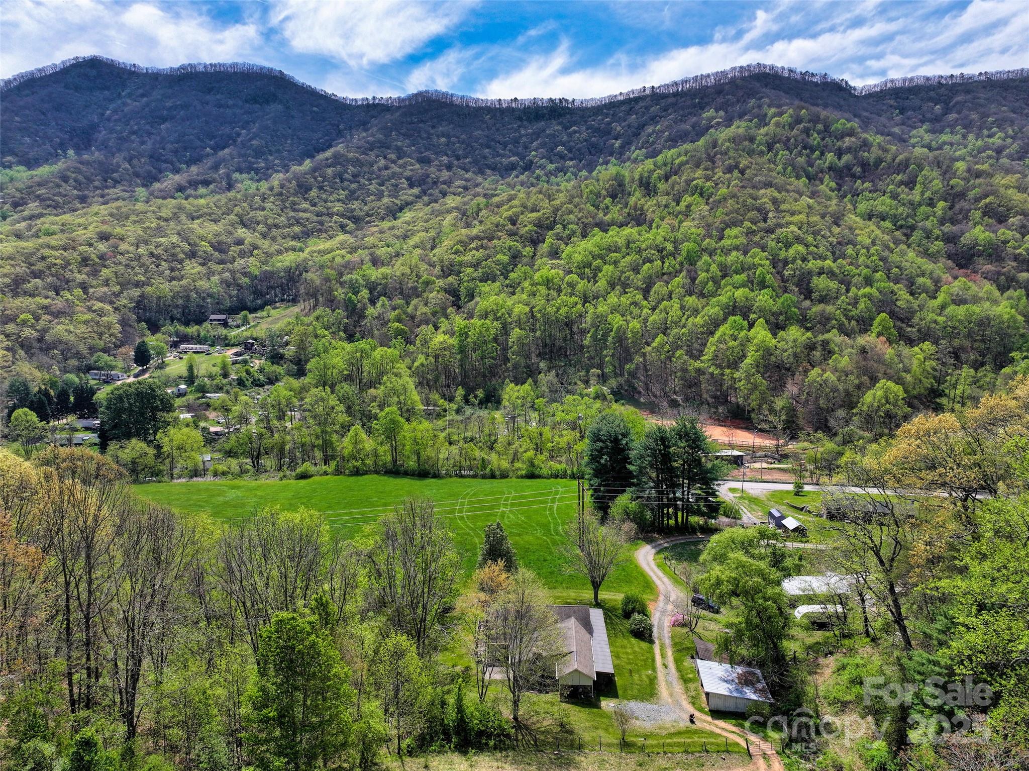 1567 Newfound Road Canton, NC 28716 - Photo 43 of 46