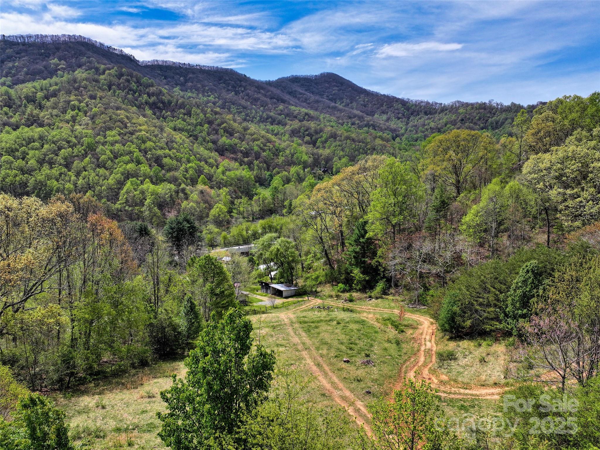 1567 Newfound Road Canton, NC 28716 - Photo 45 of 46