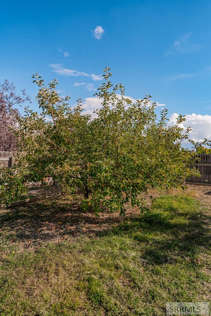 3930 East 154 North Rigby, ID 83442 - Photo 82 of 97