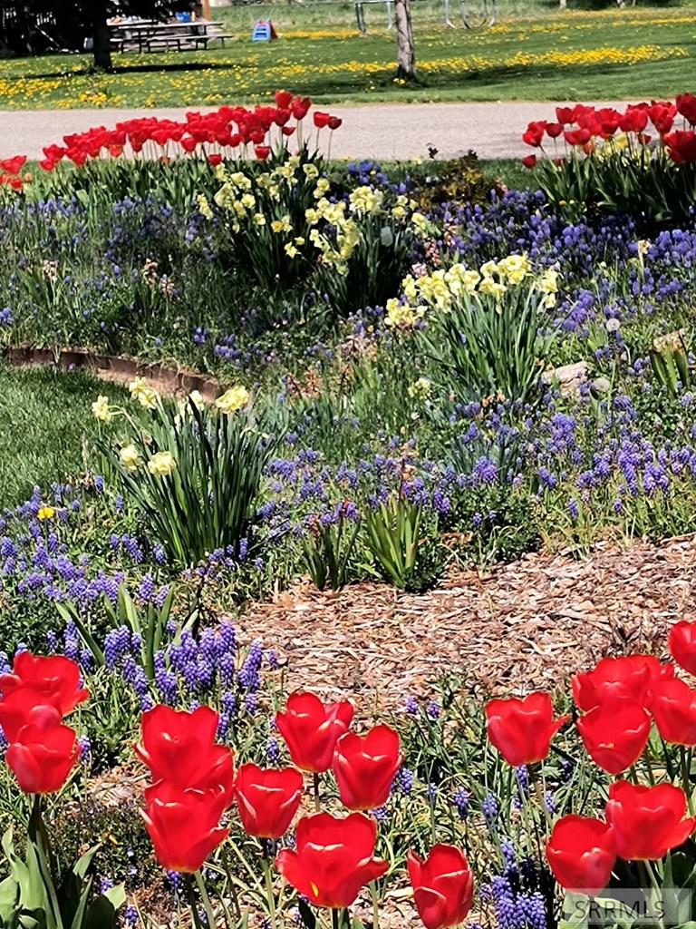 3930 East 154 North Rigby, ID 83442 - Photo 87 of 97