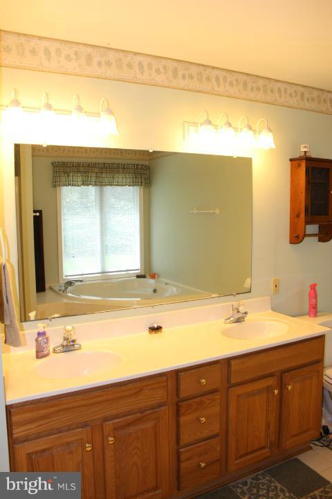 15467 Falling Waters Road Williamsport, MD 21795 - Photo 18 of 30 Bath (Master)