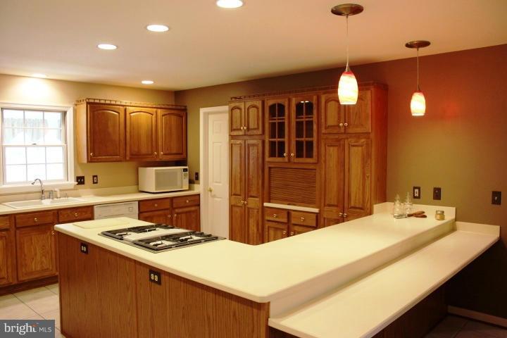 15467 Falling Waters Road Williamsport, MD 21795 - Photo 10 of 30 Kitchen