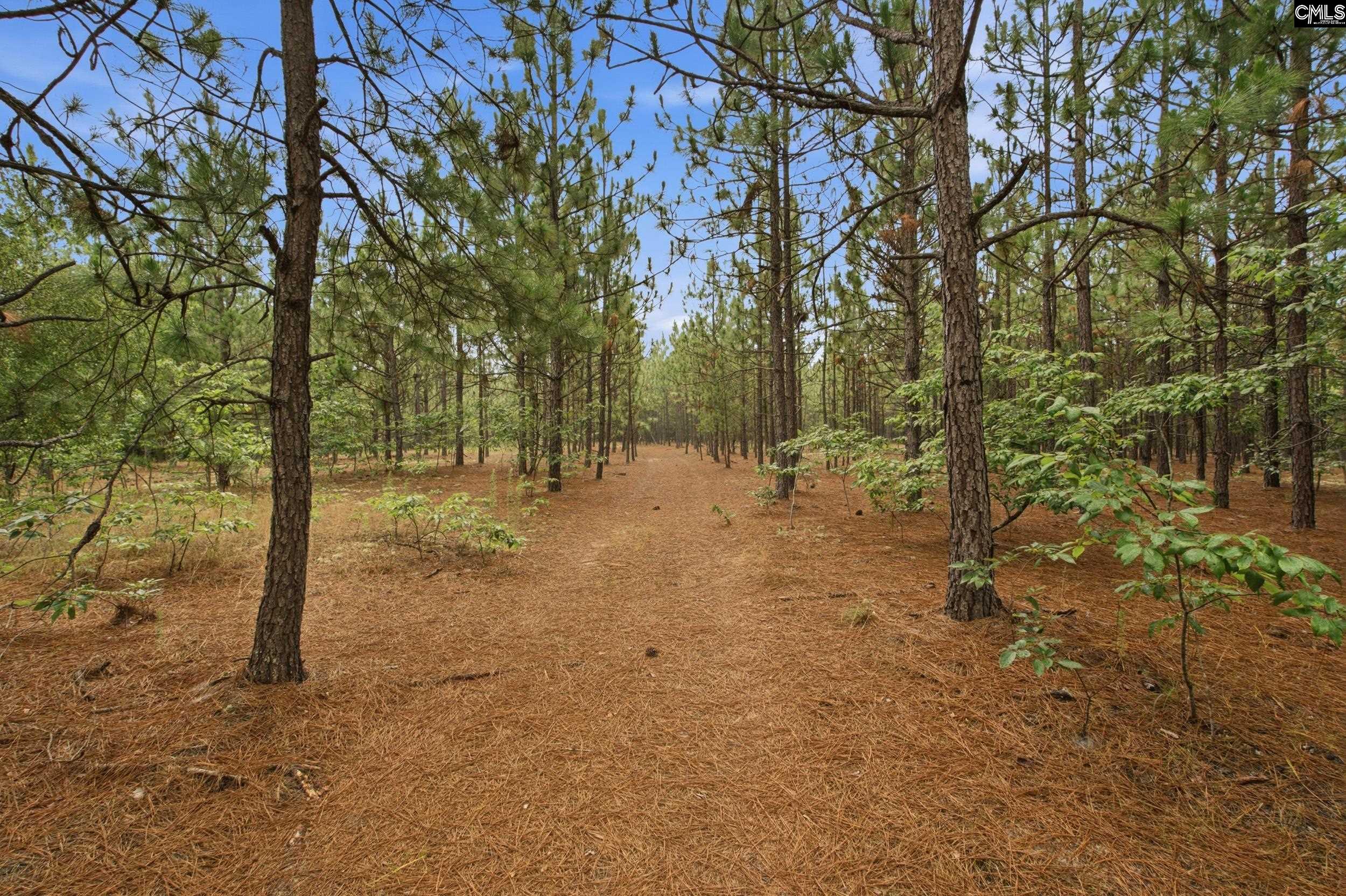 3390 State Rd S-28-496 Kershaw, SC 29067 - Photo 4 of 26
