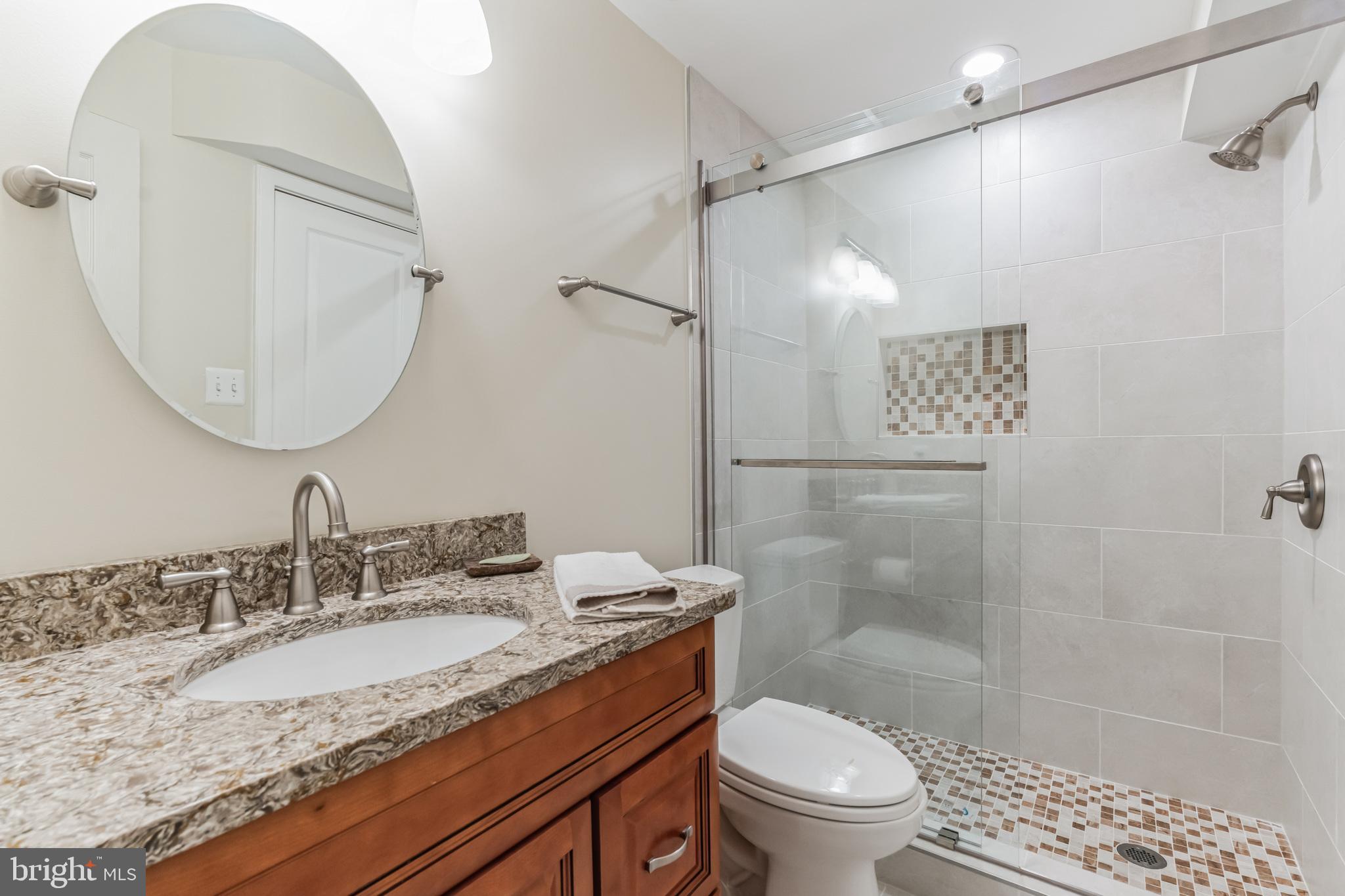 20892 Waterbeach Place Sterling, VA 20165 - Photo 27 of 40 bathroom in the basement