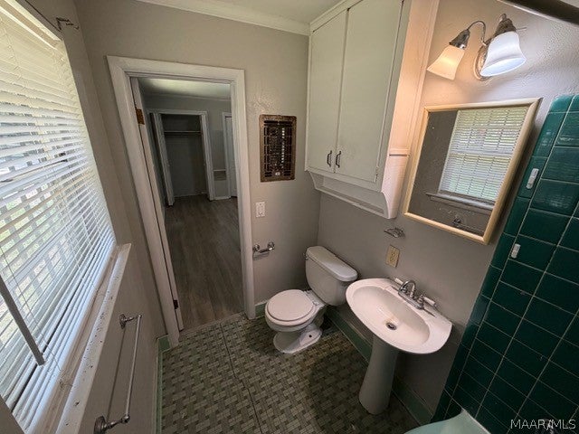 Gallery Image 7
