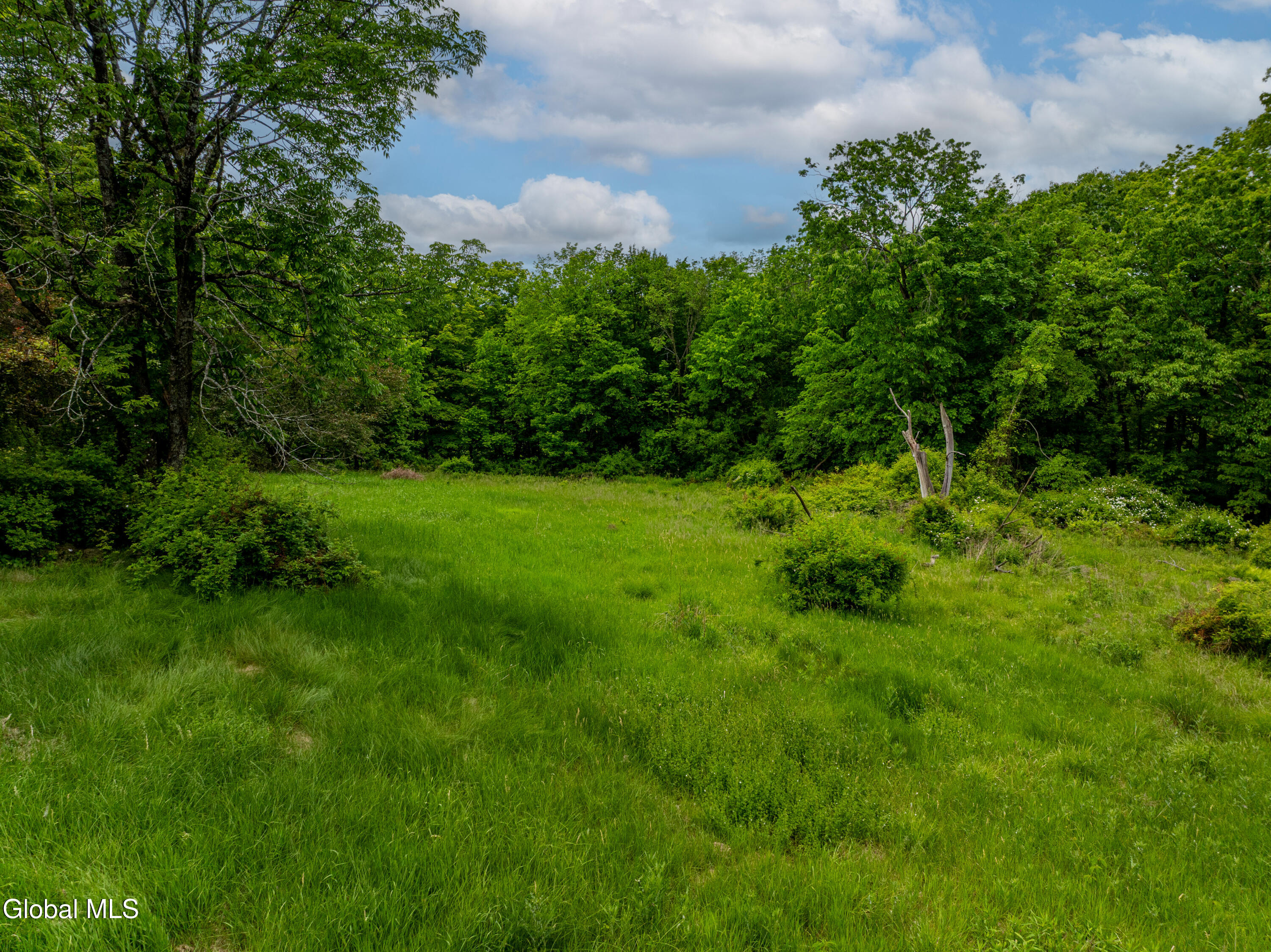 13 Camel Hill Road Brunswick, NY 12180 - Photo 11 of 33 13 Camel Hill -10