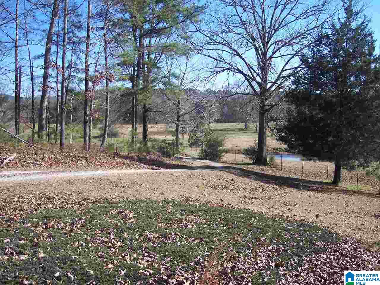 605 Tredegar Road Jacksonville, AL 36265 - Photo 17 of 31