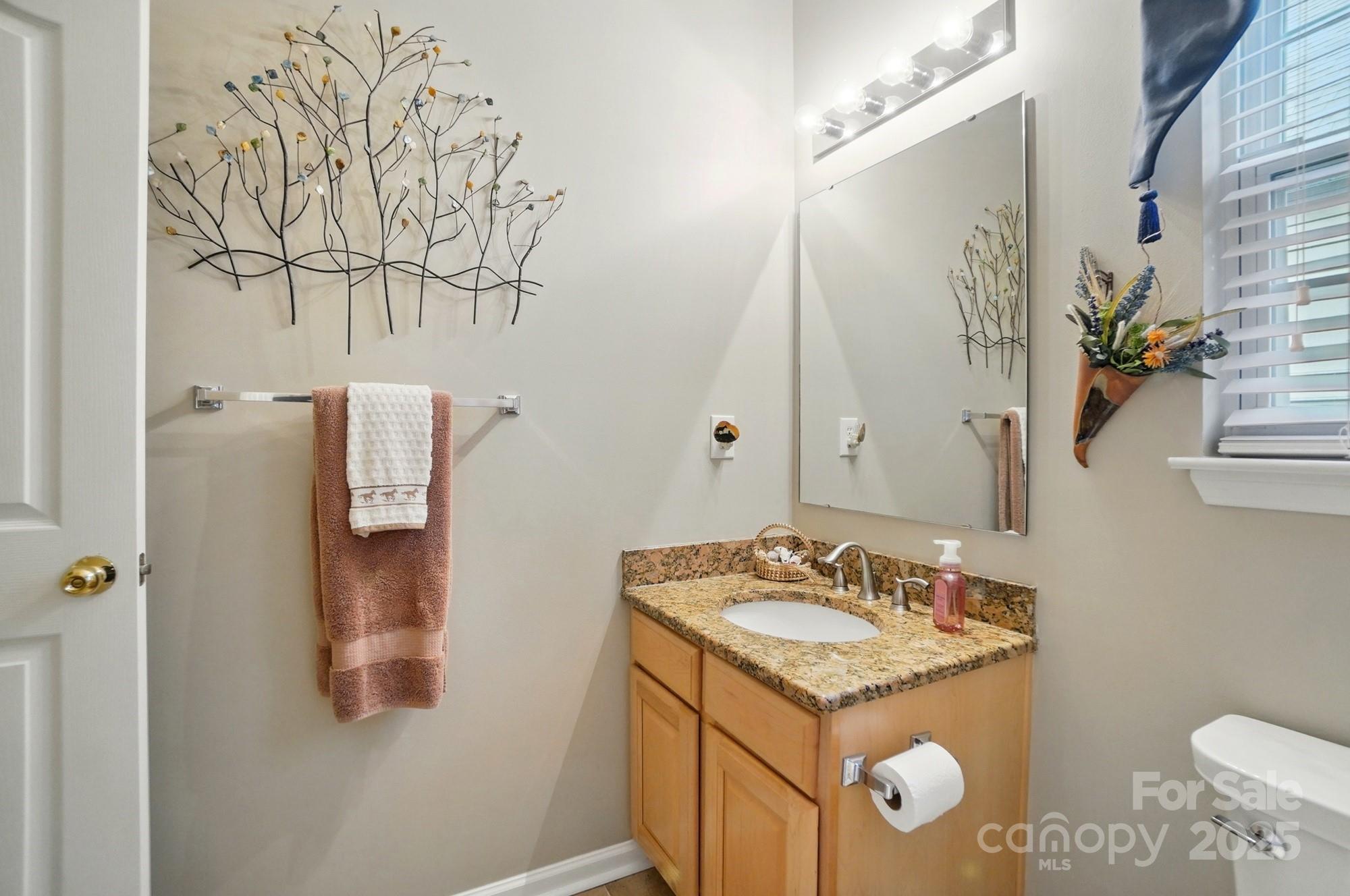 13505 Michael Lynn Road Charlotte, NC 28278 - Photo 19 of 24 a bathroom with a granite countertop sink and a mirror