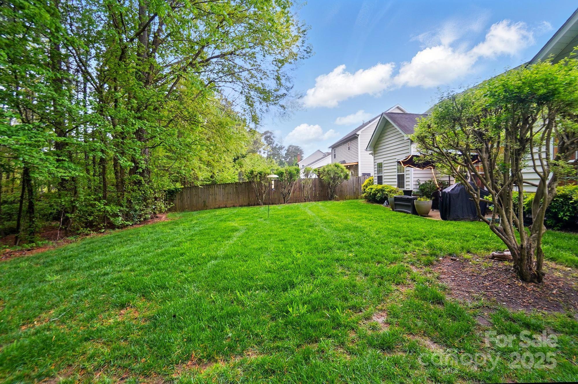 13505 Michael Lynn Road Charlotte, NC 28278 - Photo 23 of 24 a view of yard with green space