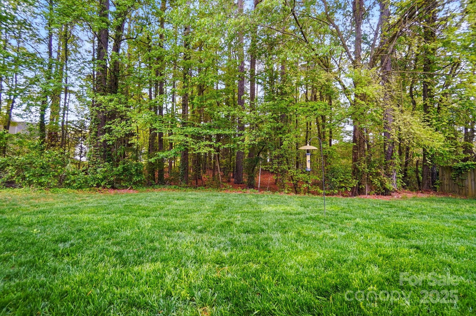 13505 Michael Lynn Road Charlotte, NC 28278 - Photo 24 of 24 a view of a back yard