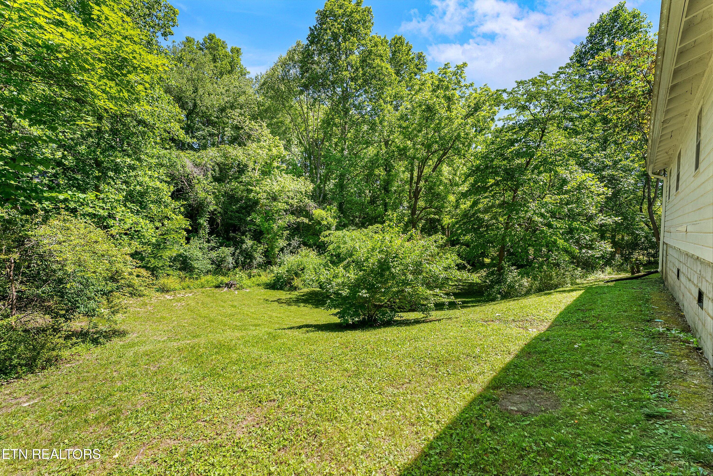 103 Loyola Lane Oak Ridge, TN 37830 - Photo 30 of 36 31-Backyard A1