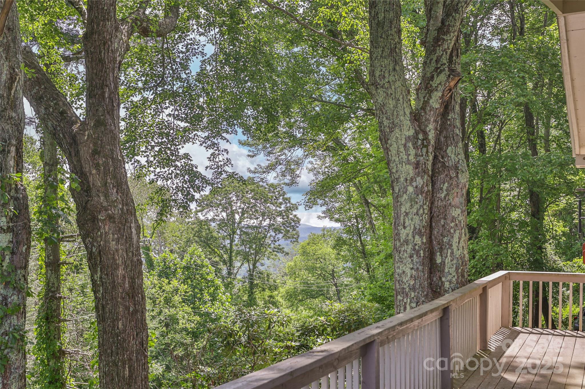 56 Faraway Drive Cullowhee, NC 28723 - Photo 26 of 46 a balcony with trees