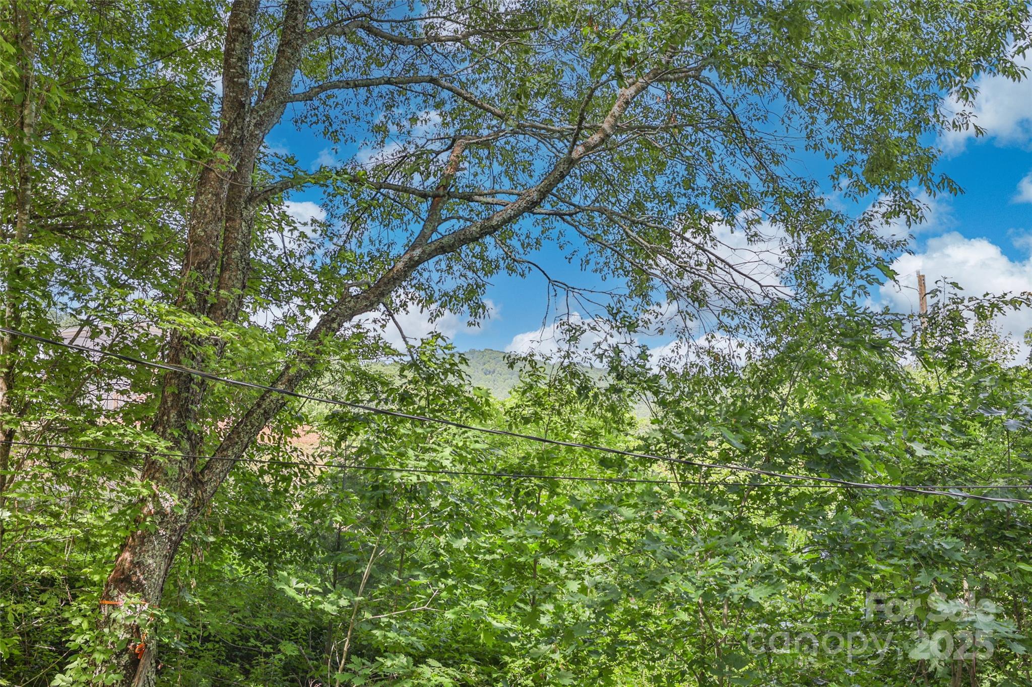 56 Faraway Drive Cullowhee, NC 28723 - Photo 27 of 46 a backyard of a house with lots of green space