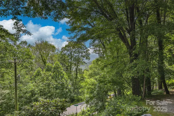 a view of a tree with a yard