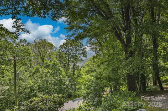 a view of a tree with a yard