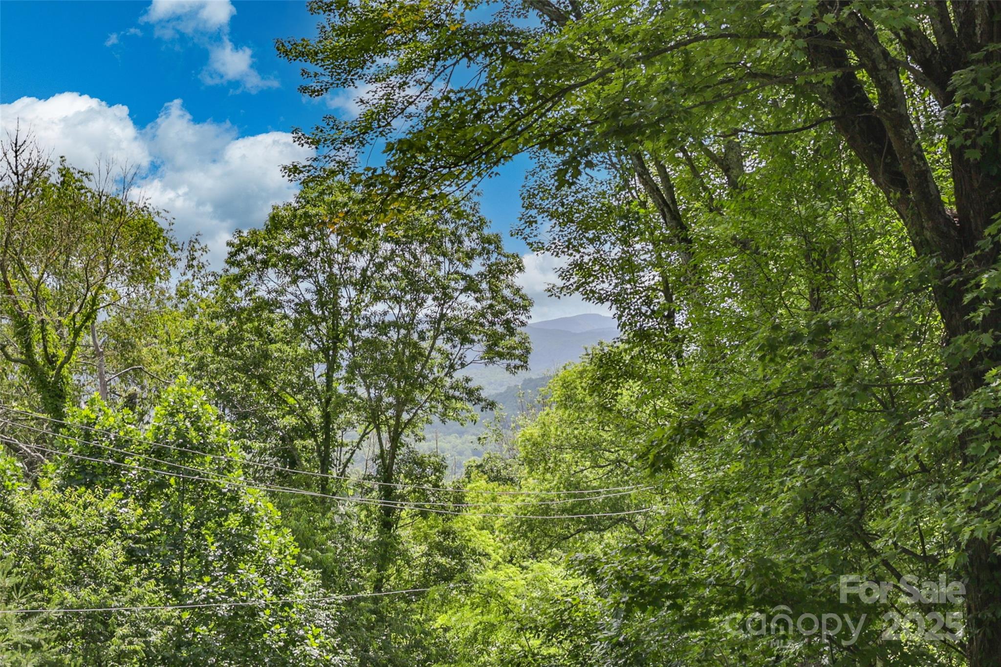 56 Faraway Drive Cullowhee, NC 28723 - Photo 7 of 46