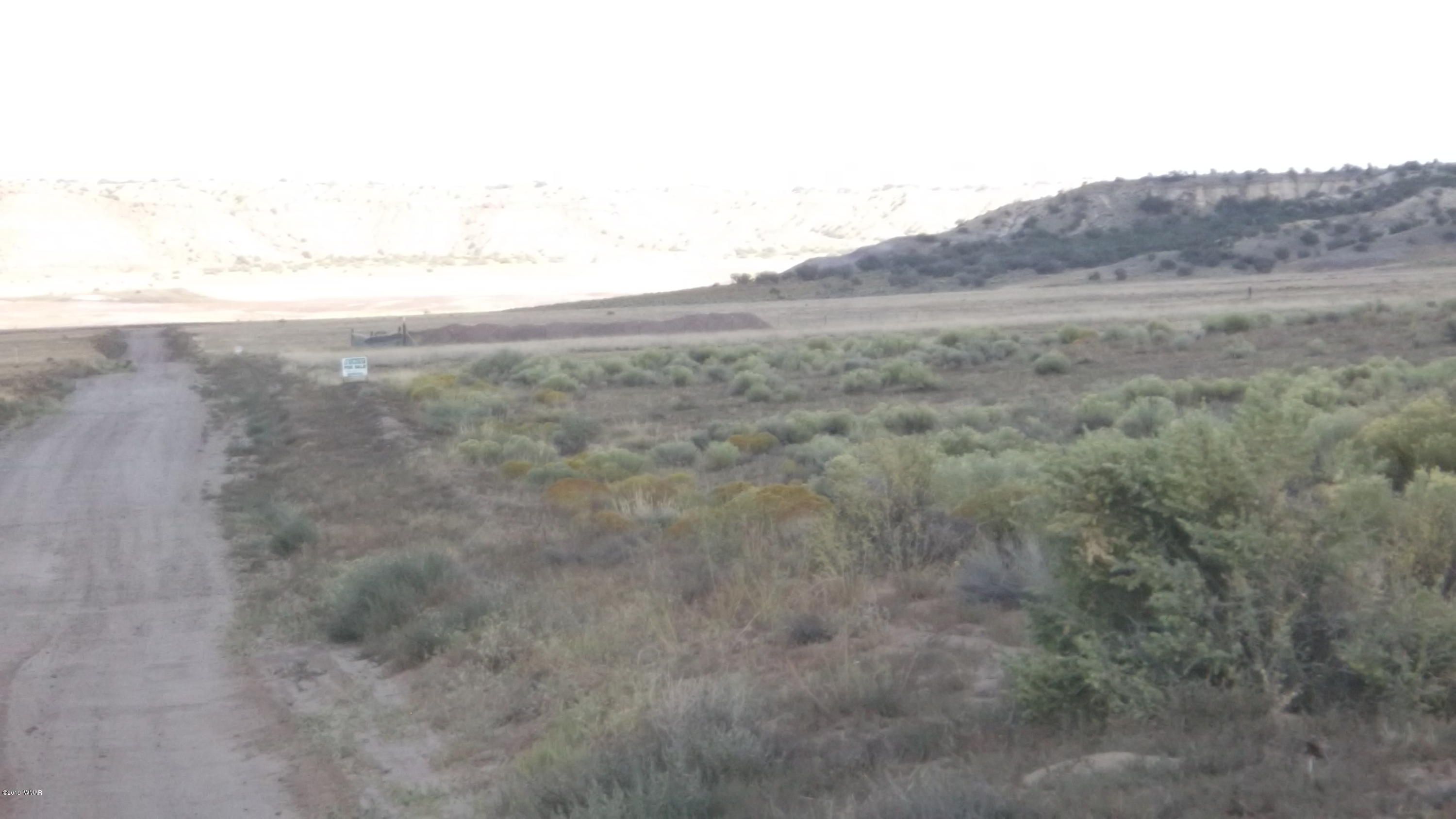 Lot 13 Bonito Valley Ranch Concho, AZ 85924 - Photo 2 of 5