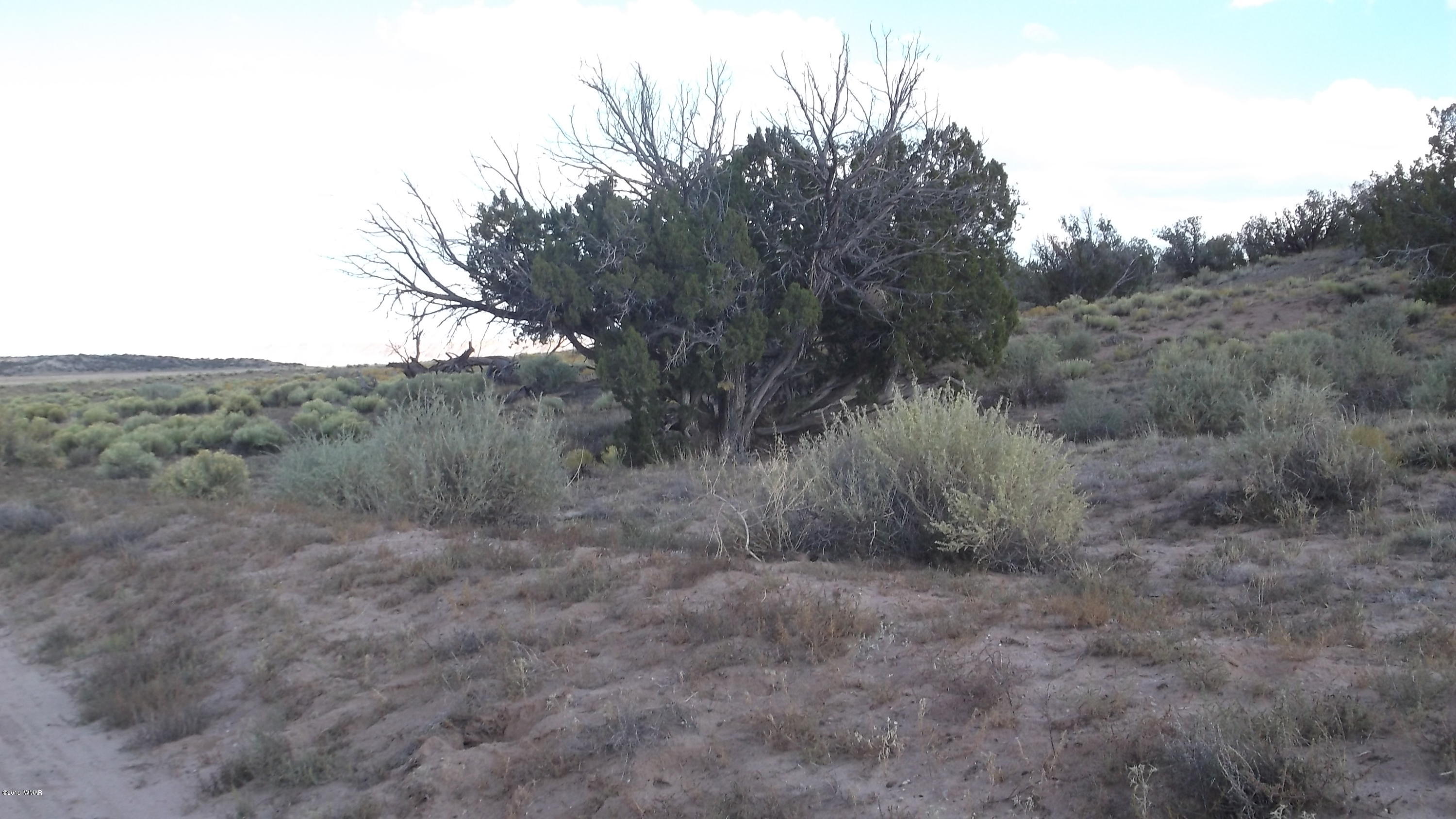 Lot 13 Bonito Valley Ranch Concho, AZ 85924 - Photo 3 of 5