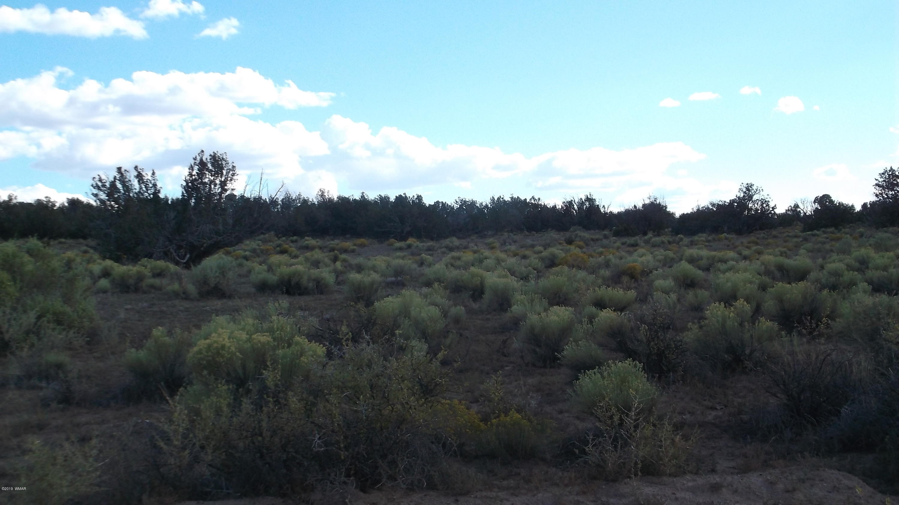 Lot 13 Bonito Valley Ranch Concho, AZ 85924 - Photo 4 of 5