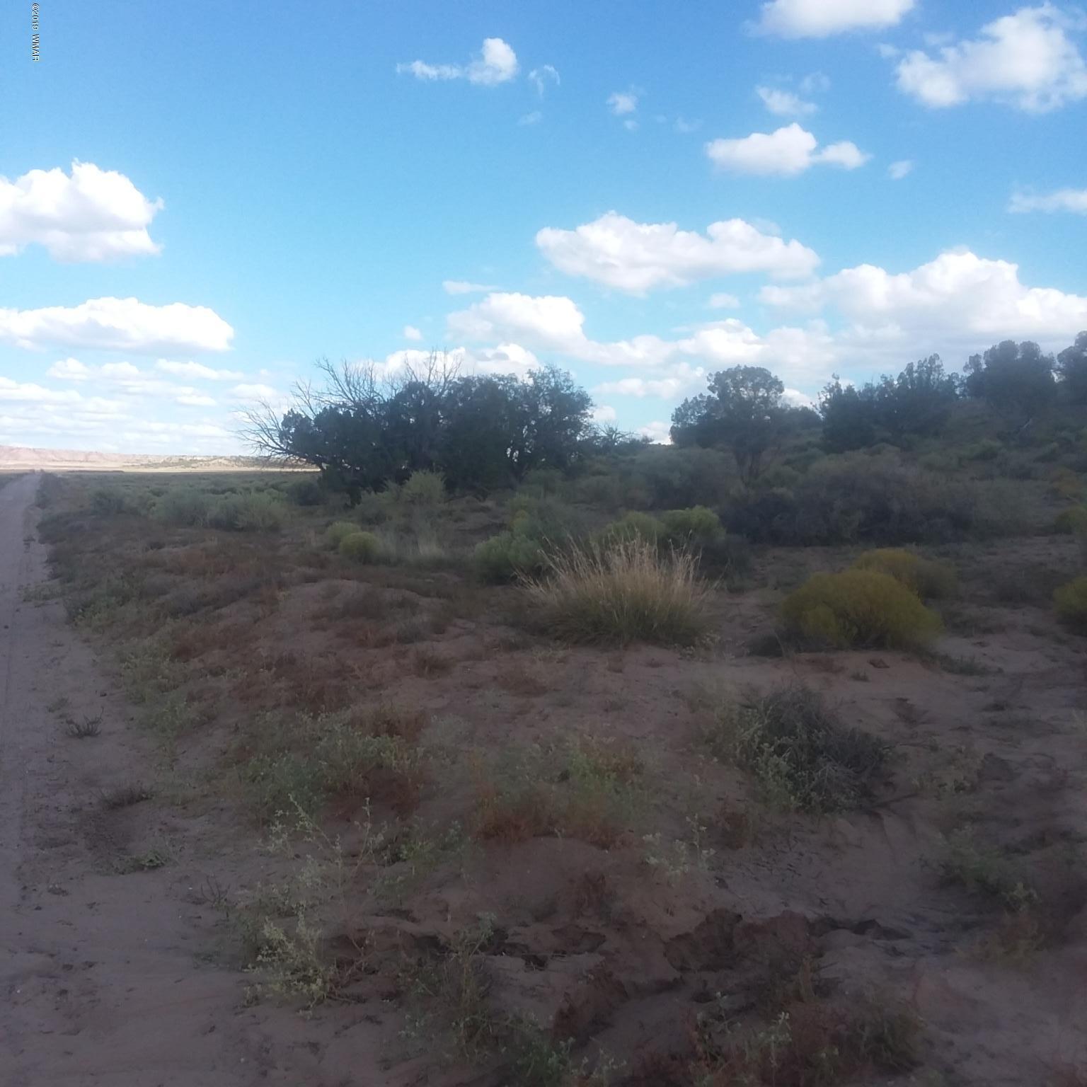Lot 13 Bonito Valley Ranch Concho, AZ 85924 - Photo 5 of 5