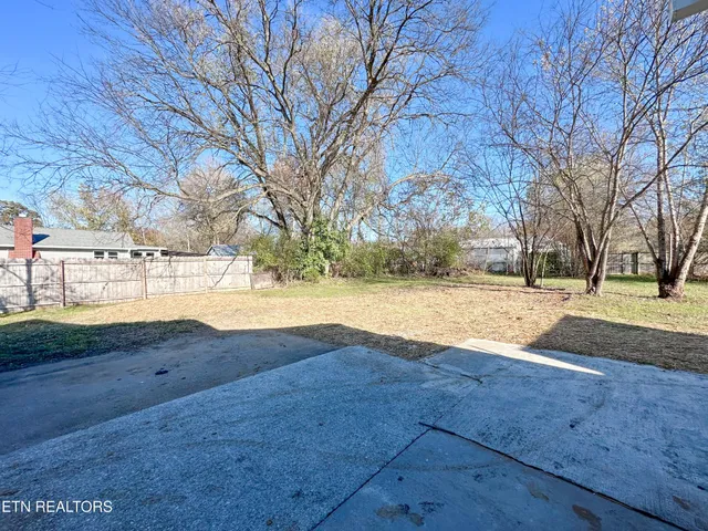 a view of yard with trees