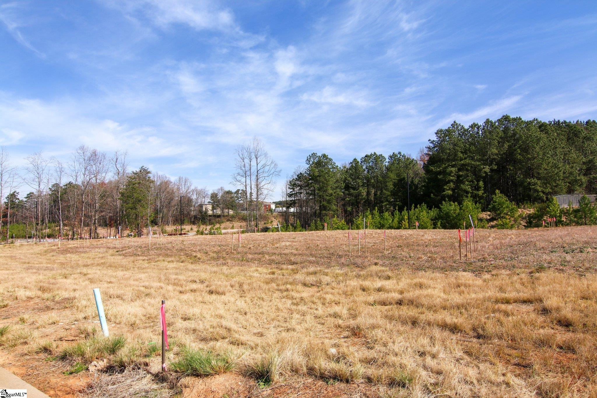 17 Hasbrook Lane, Unit SITE 1 Greenville, SC 29607 - Photo 2 of 4