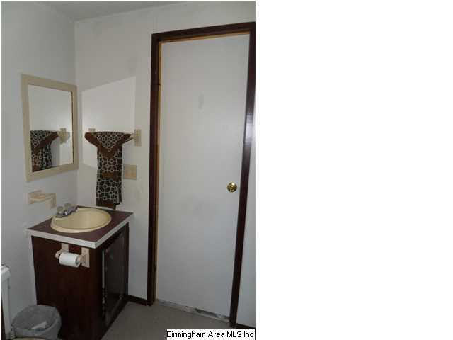 4185 Warrior Jasper Road Dora, AL 35062 - Photo 22 of 32
