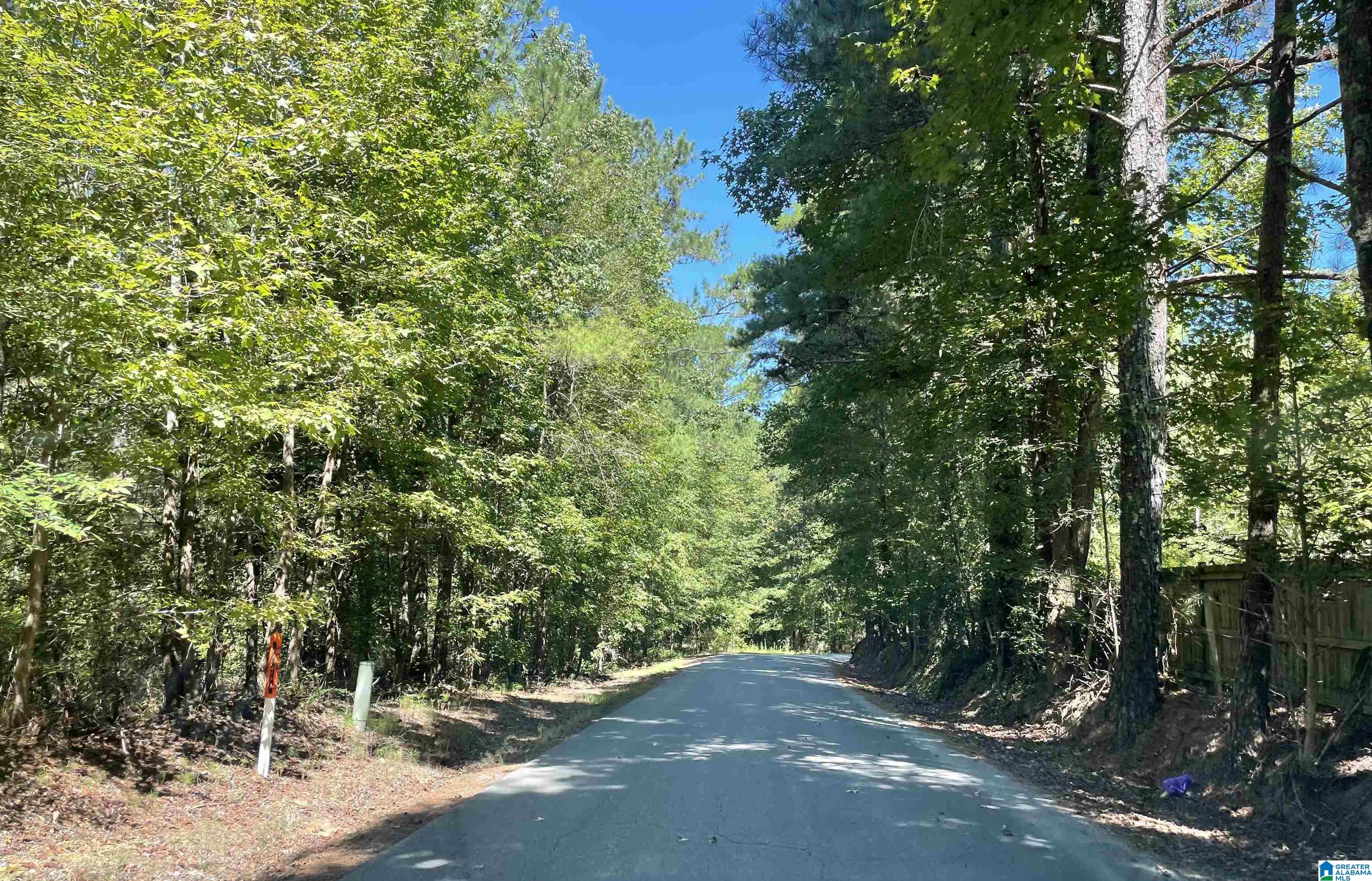 0 Dripping Rock Road Jacksonville, AL 36265 - Photo 2 of 14