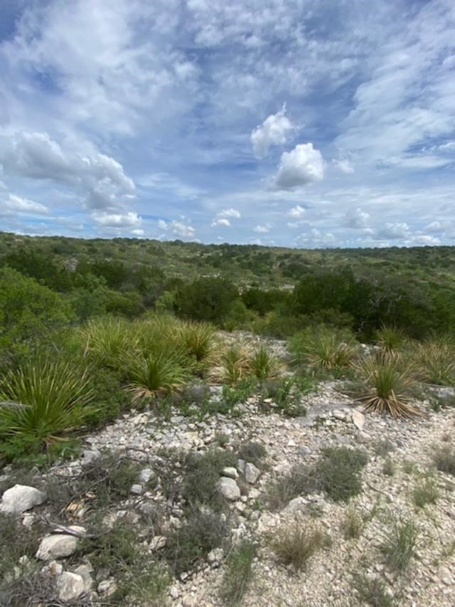 13955 Ranch Road 2523 Del Rio, TX 78840 - Photo 3 of 77