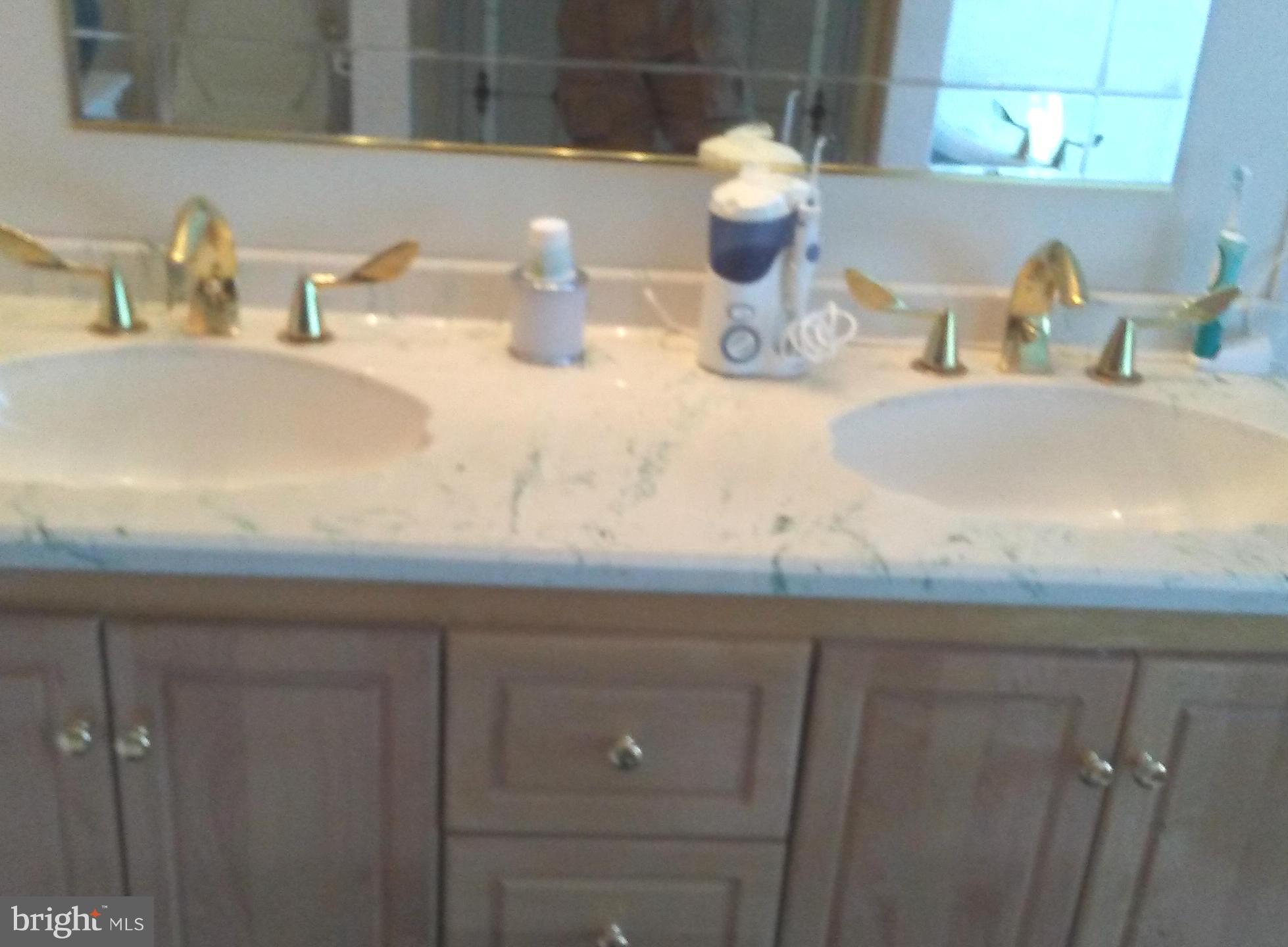 1228 Hillside Road Pasadena, MD 21122 - Photo 6 of 10 Bath (Master)