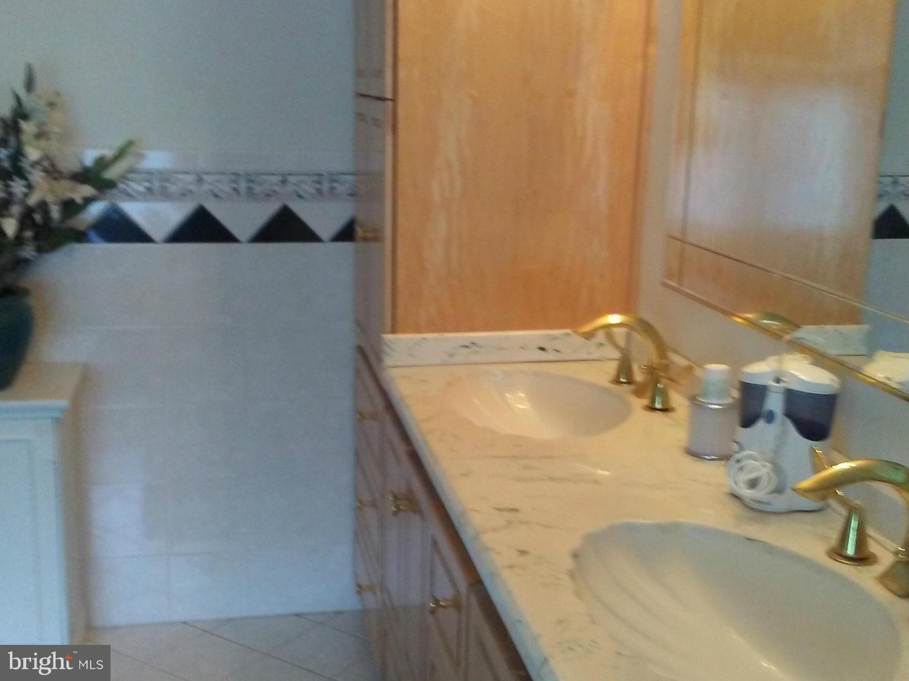 1228 Hillside Road Pasadena, MD 21122 - Photo 8 of 10 Bath (Master)