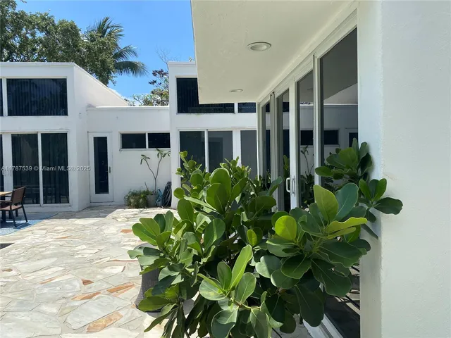 a flower plants in front of building