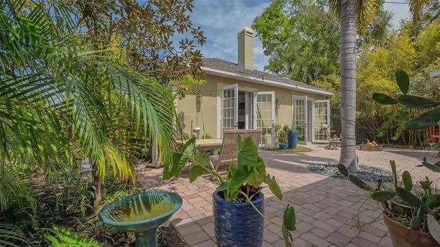 a potted plant sitting in front of a house