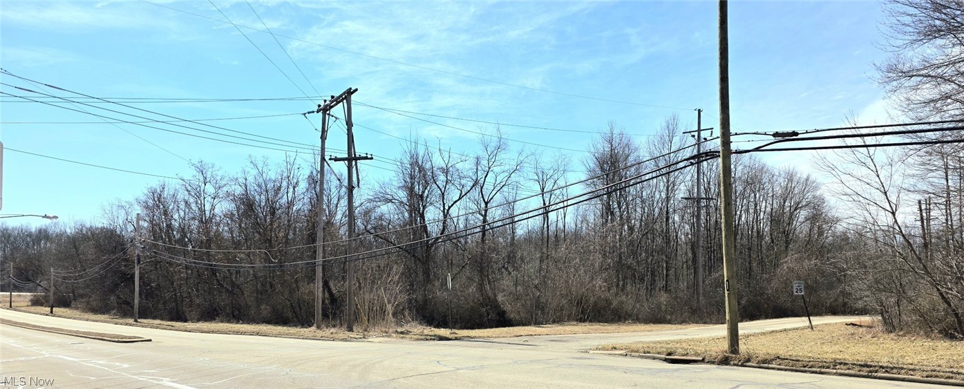 1251 Jacobs Road Youngstown, OH 44505 - Photo 1 of 6 View of street with street lights, curbs, sidewalks, and traffic signs