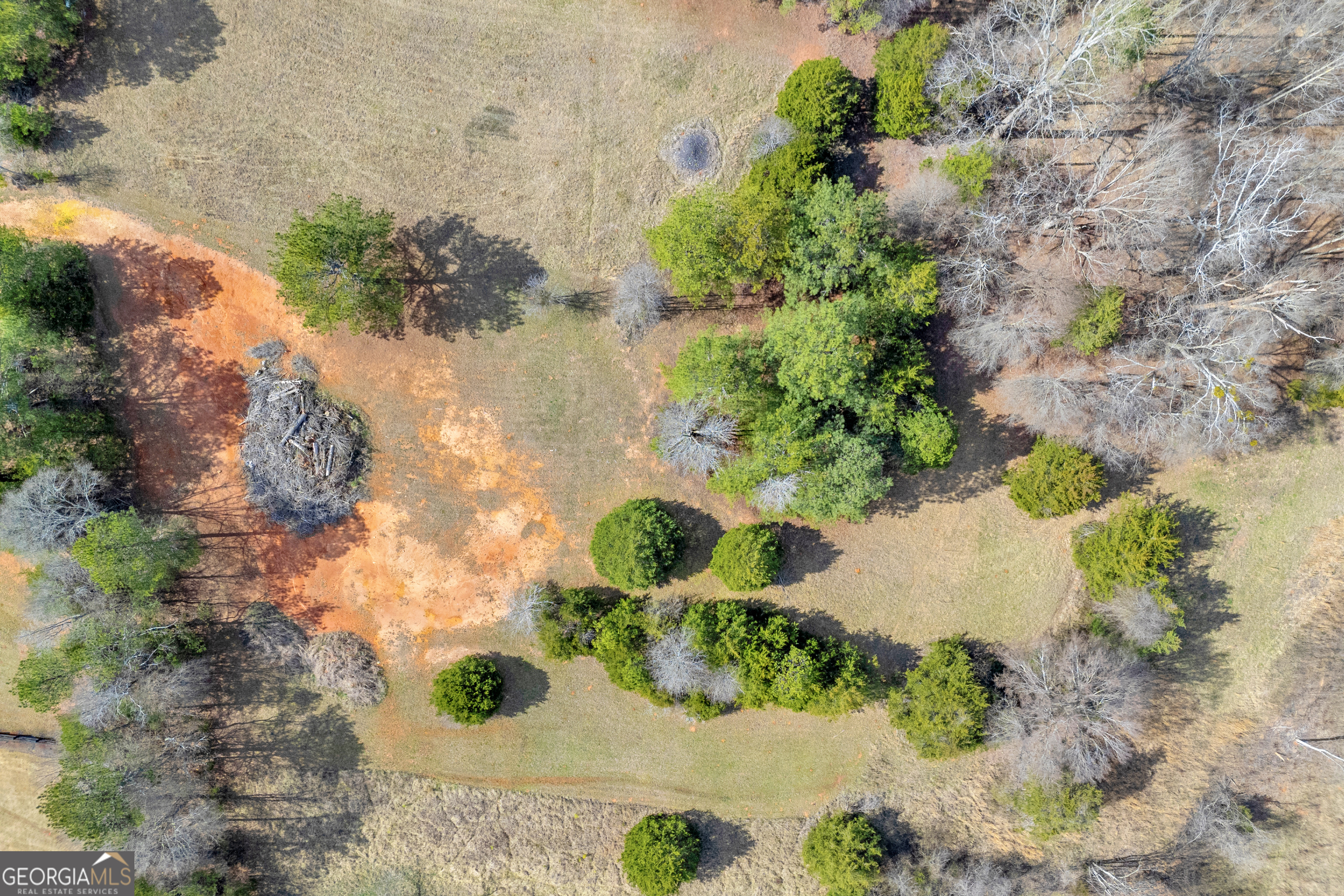 0 Brockton Loop, Unit 2 & 3 Jefferson, GA 30549 - Photo 14 of 25 a view of a garden with a flower