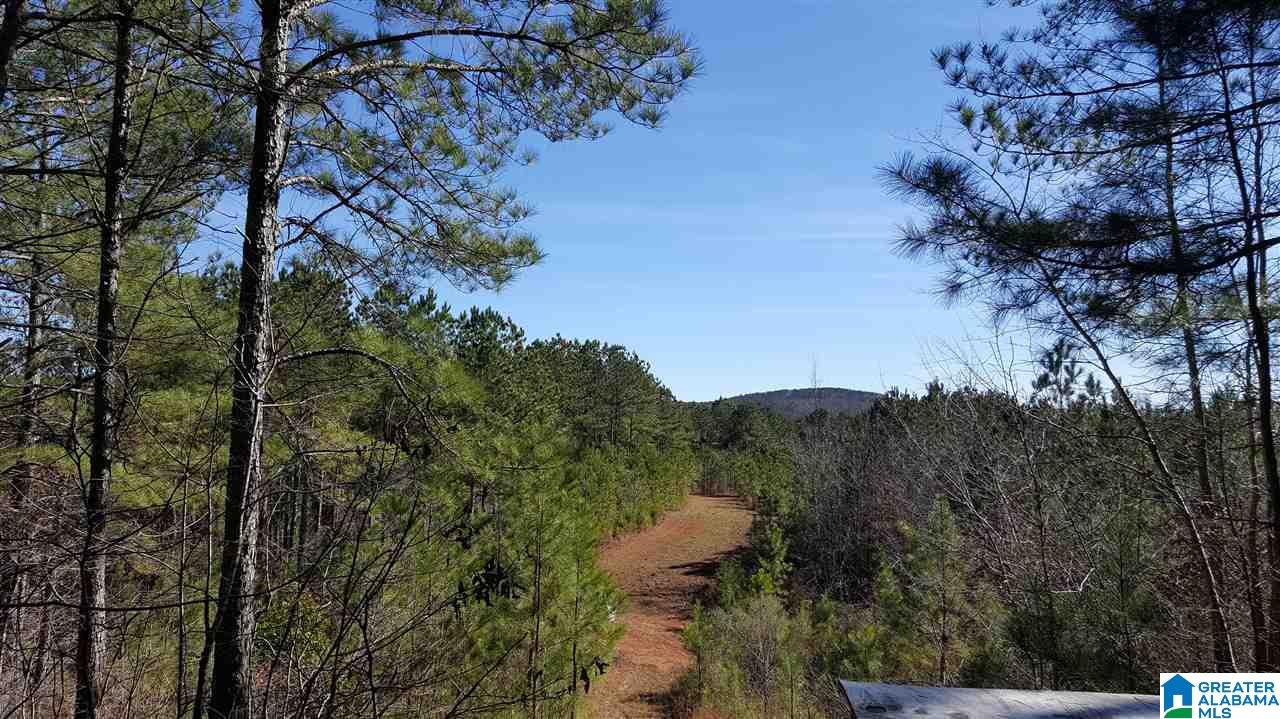 0 Baggett Road, Unit 78 / ACRES Ashland, AL 36251 - Photo 5 of 13