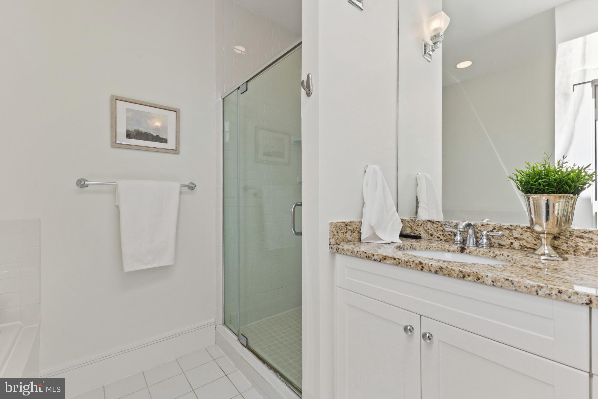 526 13th Street Southeast, Unit B Washington, DC 20003 - Photo 27 of 33 Sleek modern bathroom oasis.