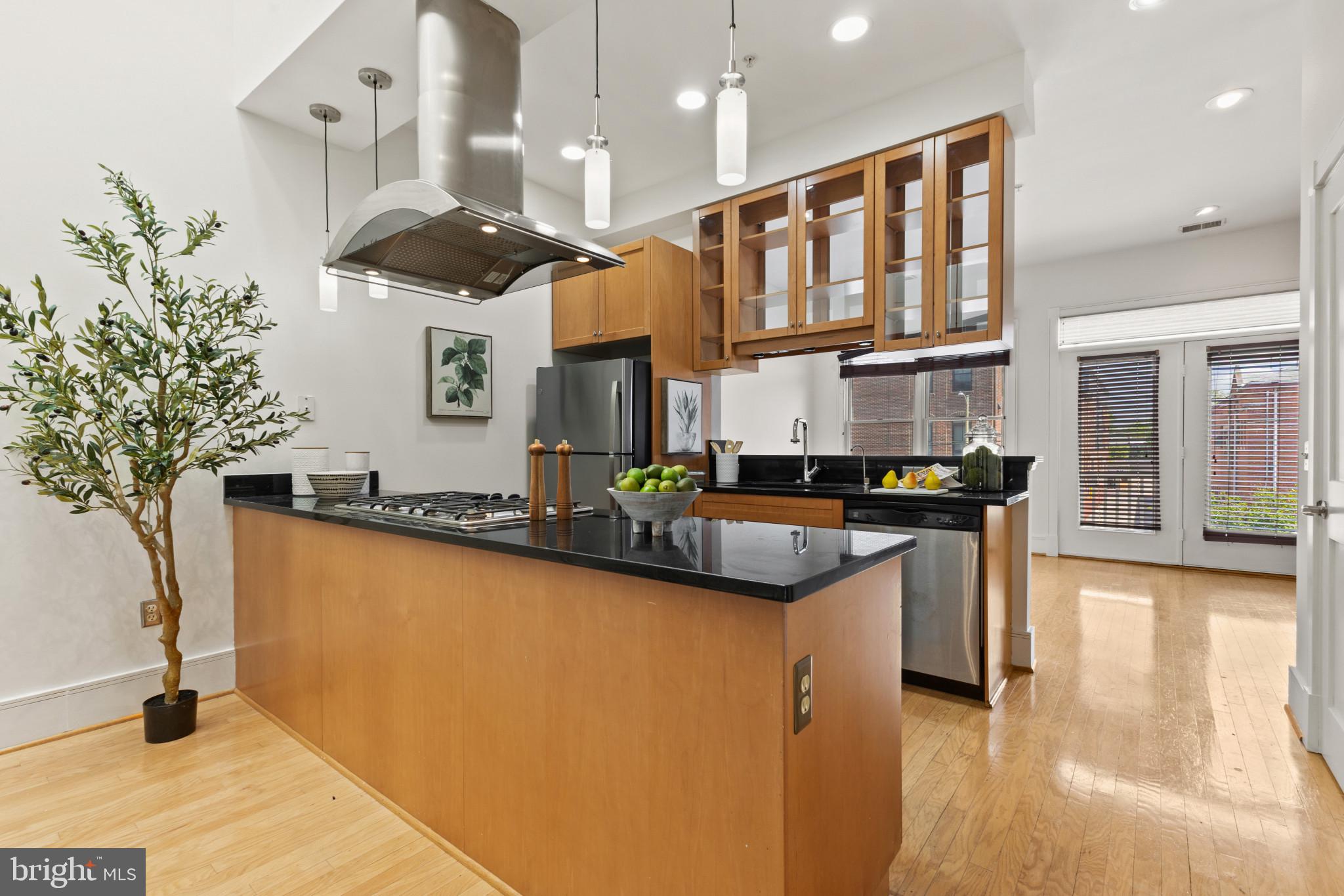 526 13th Street Southeast, Unit B Washington, DC 20003 - Photo 10 of 33 Sleek modern kitchen with natural light.